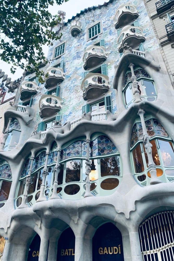 Photo  賀川義規　Yoshinori Kagawa 　大腸がん　手術　消化器外科　皇居　大阪　亀　紅葉　青写真　エクスプレス外来