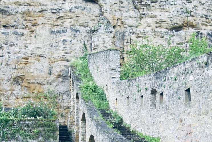 Photo  賀川義規　Yoshinori Kagawa 　大腸がん　手術　消化器外科　皇居　大阪　亀　紅葉　青写真　エクスプレス外来　技術認定　プロクター　ダビンチ　ダビィンチ　daVinci