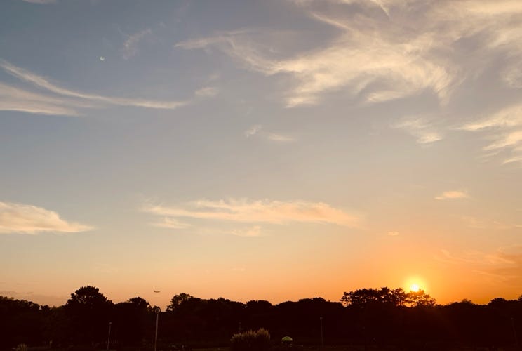 Photo  賀川義規　Yoshinori Kagawa 　大腸がん　手術　消化器外科　皇居　大阪　亀　紅葉　青写真　エクスプレス外来　技術認定　プロクター　ダビンチ　ダビィンチ　daVinci