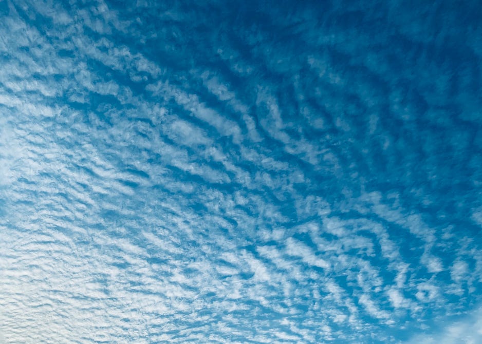 青空　鱗雲　ブルーリボン 大腸がん　賀川　義規　Yoshinori Kagawa 青
