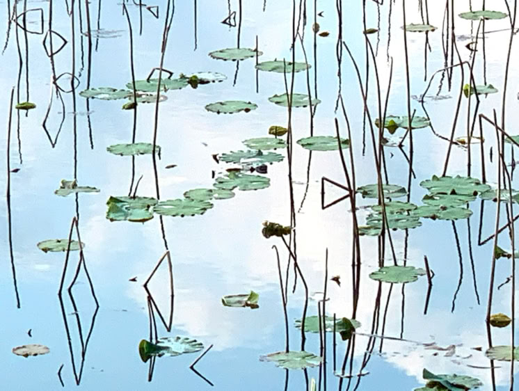 Photo  賀川義規　Yoshinori Kagawa 　大腸がん　手術　消化器外科　ロボット手術　大腸癌　個別化医療　かがわ　よしのり　化学療法