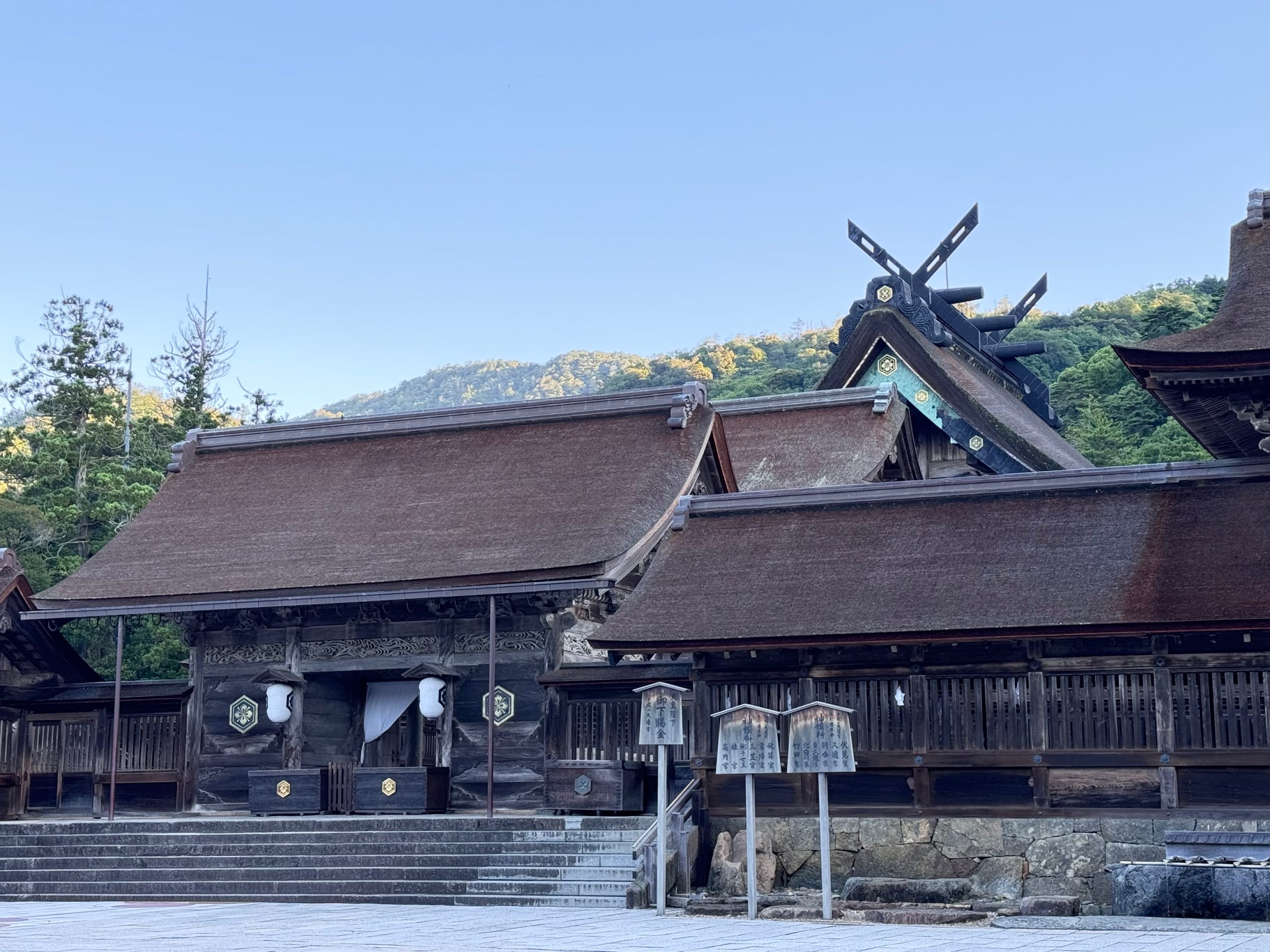島根県の病院に手術応援に行ってきました。1泊2日の強行突破のため、早朝4時から徒歩で2時間かけて出雲大社まで。願いがかないますように！