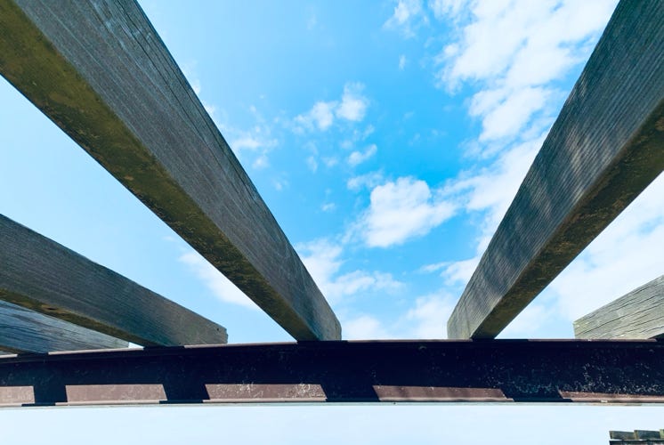 Photo  賀川義規　Yoshinori Kagawa 　大腸がん　手術　消化器外科　皇居　大阪　亀　紅葉　青写真　エクスプレス外来　技術認定　プロクター　ダビンチ　ダビィンチ　daVinci