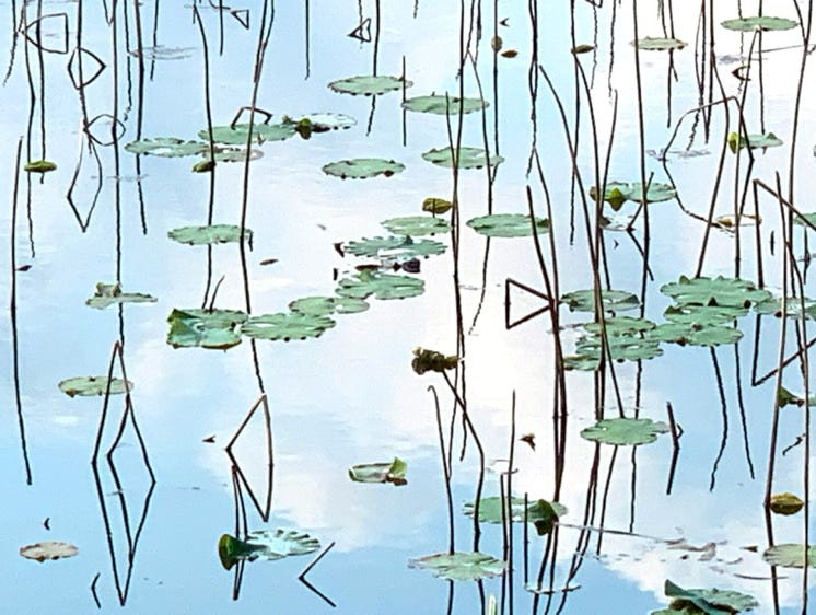 Photo  賀川義規　Yoshinori Kagawa 　大腸がん　手術　消化器外科　ロボット手術　大腸癌　個別化医療　かがわ　よしのり　化学療法