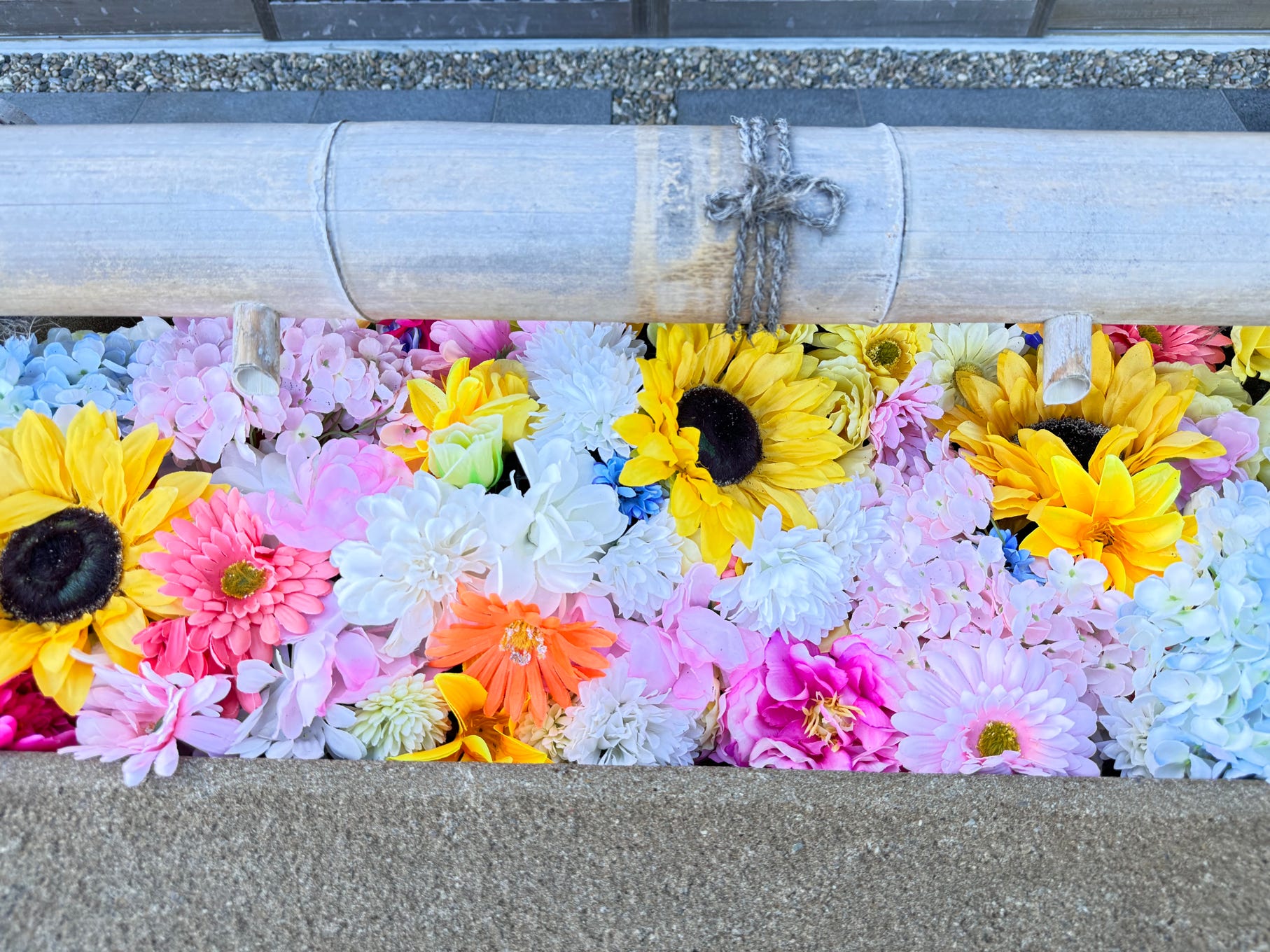 島根県の病院に手術応援に行ってきました。1泊2日の強行突破のため、早朝4時から徒歩で2時間かけて出雲大社まで。願いがかないますように！