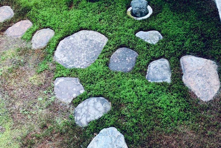 Photo  賀川義規　Yoshinori Kagawa 　大腸がん　手術　消化器外科　皇居　大阪　亀　紅葉　青写真　エクスプレス外来　技術認定　プロクター　ダビンチ　ダビィンチ　daVinci