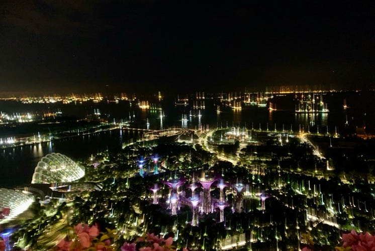 Photo  賀川義規　Yoshinori Kagawa 　大腸がん　手術　消化器外科　皇居　大阪　亀　紅葉　青写真　エクスプレス外来　技術認定　プロクター　ダビンチ　ダビィンチ　daVinci