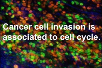 Photo  賀川義規　Yoshinori Kagawa 　大腸がん　手術　消化器外科　皇居　大阪　亀　紅葉　青写真　エクスプレス外来