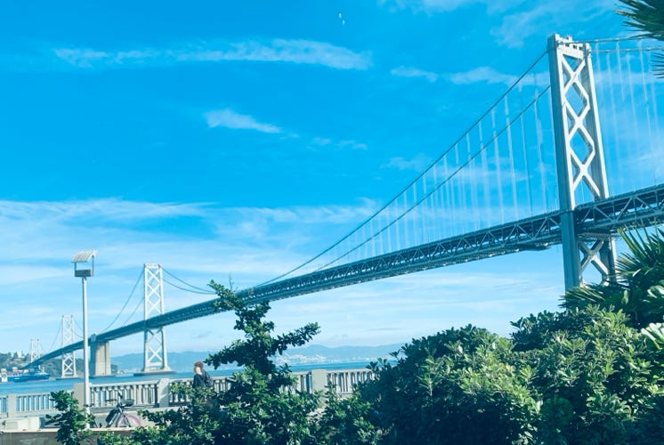 Photo  賀川義規　Yoshinori Kagawa 　大腸がん　手術　消化器外科　皇居　大阪　亀　紅葉　青写真　エクスプレス外来　技術認定　プロクター　ダビンチ　ダビィンチ　daVinci