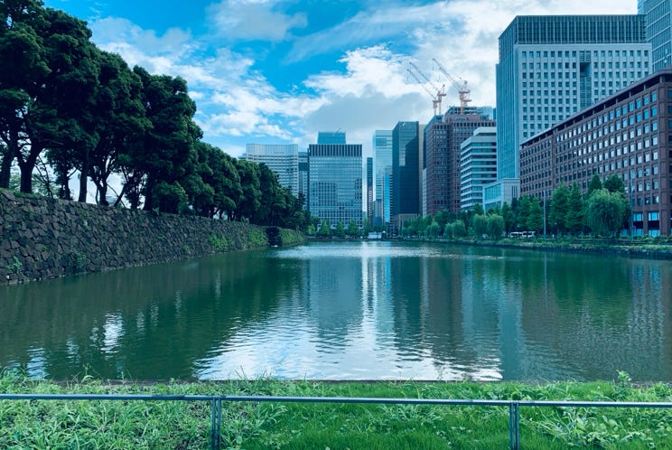 Photo  賀川義規　Yoshinori Kagawa 　大腸がん　手術　消化器外科　皇居　大阪　亀　紅葉　青写真　エクスプレス外来　技術認定　プロクター　ダビンチ　ダビィンチ　daVinci