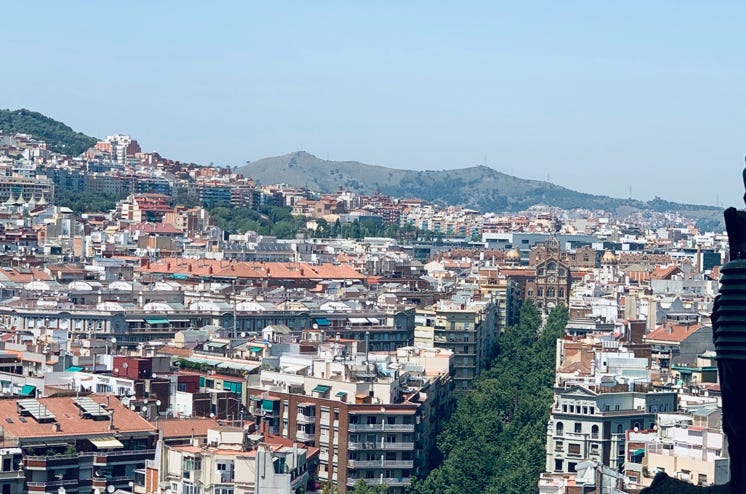 Photo  賀川義規　Yoshinori Kagawa 　大腸がん　手術　消化器外科　皇居　大阪　亀　紅葉　青写真　エクスプレス外来　技術認定　プロクター　ダビンチ　ダビィンチ　daVinci