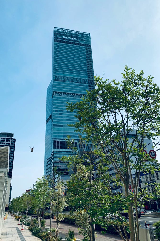 Photo  賀川義規　Yoshinori Kagawa 　大腸がん　手術　消化器外科　皇居　大阪　亀　紅葉　青写真　エクスプレス外来