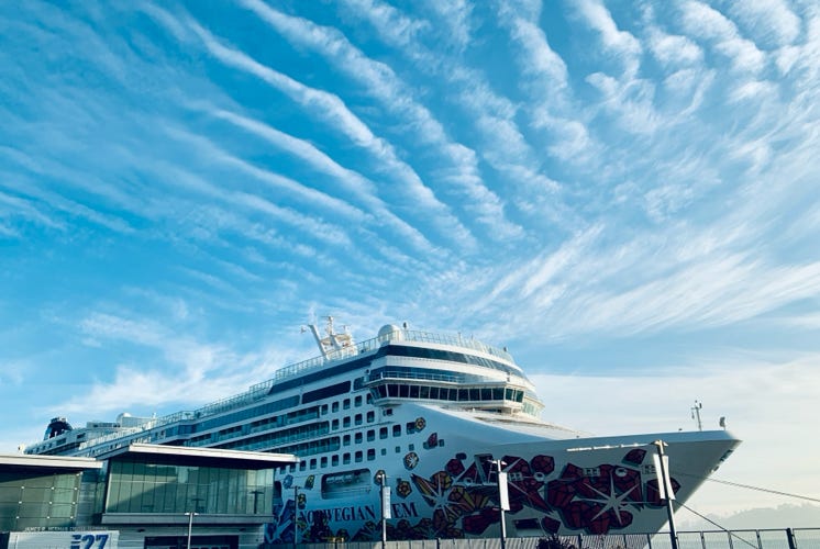 Photo  賀川義規　Yoshinori Kagawa 　大腸がん　手術　消化器外科　皇居　大阪　亀　紅葉　青写真　エクスプレス外来　技術認定　プロクター　ダビンチ　ダビィンチ　daVinci
