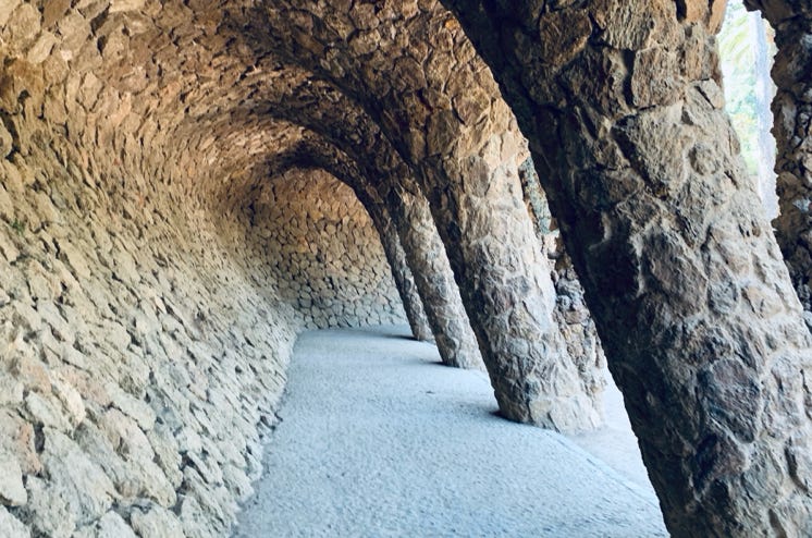 Photo  賀川義規　Yoshinori Kagawa 　大腸がん　手術　消化器外科　皇居　大阪　亀　紅葉　青写真　エクスプレス外来　技術認定　プロクター　ダビンチ　ダビィンチ　daVinci