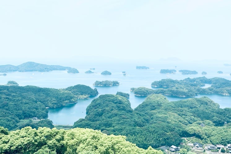 Photo  賀川義規　Yoshinori Kagawa 　大腸がん　手術　消化器外科　皇居　大阪　亀　紅葉　青写真　エクスプレス外来　技術認定　プロクター　ダビンチ　ダビィンチ　daVinci